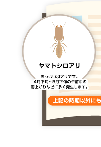 ヤマトシロアリ 黒っぽい羽アリです。4月下旬~5月下旬の午前中の雨上がりなどに多く発生します。
