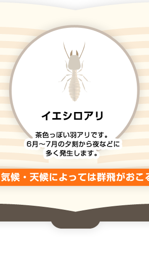 イエシロアリ 茶色っぽい羽アリです。6月~7月の夕刻から夜などに多く発生します。