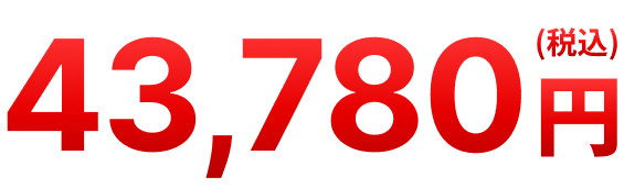 税込43,780円