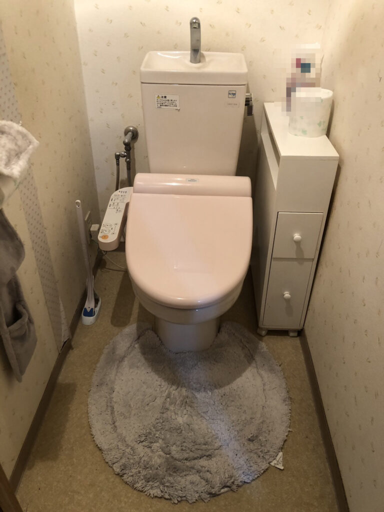 ビイフォーアフター写真