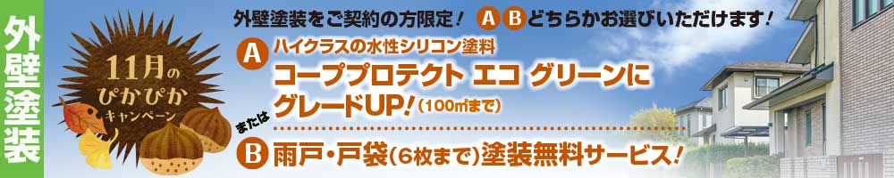 11月のぴかぴかキャンペーン