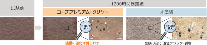 クリヤー塗装による下地の保護候補