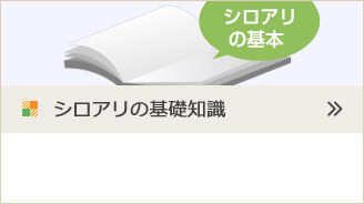 シロアリの基礎知識