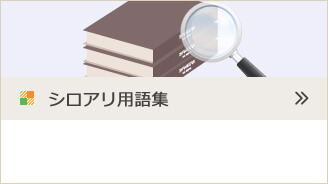 シロアリ用語集